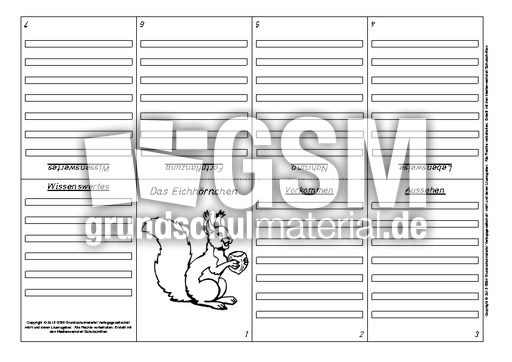 Eichhörnchen-Faltbuch-Steckbrief-achtseitig-3.pdf